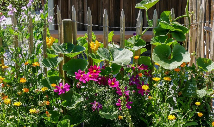 Gartengestaltung: 5 Tipps für eine gelungene Gartenplanung