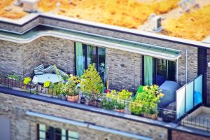 Balkon schön und insektenfreundlich gestalten