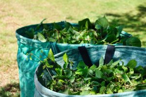 Grünschnitt im Garten: Wohin damit und was machen?