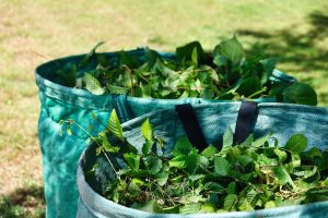 Grünschnitt im Garten: Wohin damit und was machen?